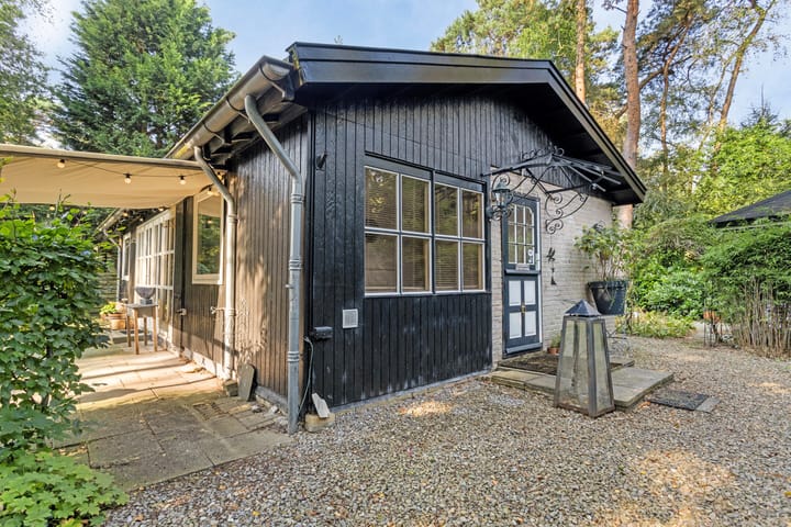 Foto 2 van Kievit 12-B178