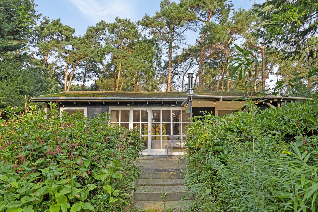 Foto 1 van Kievit 12-B178