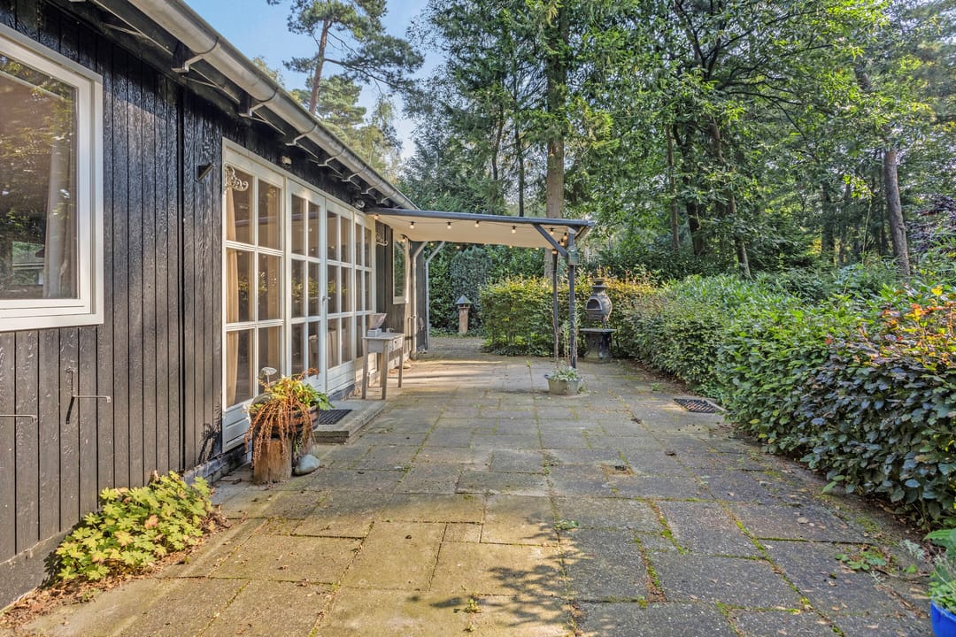 Foto 38 van Kievit 12-B178