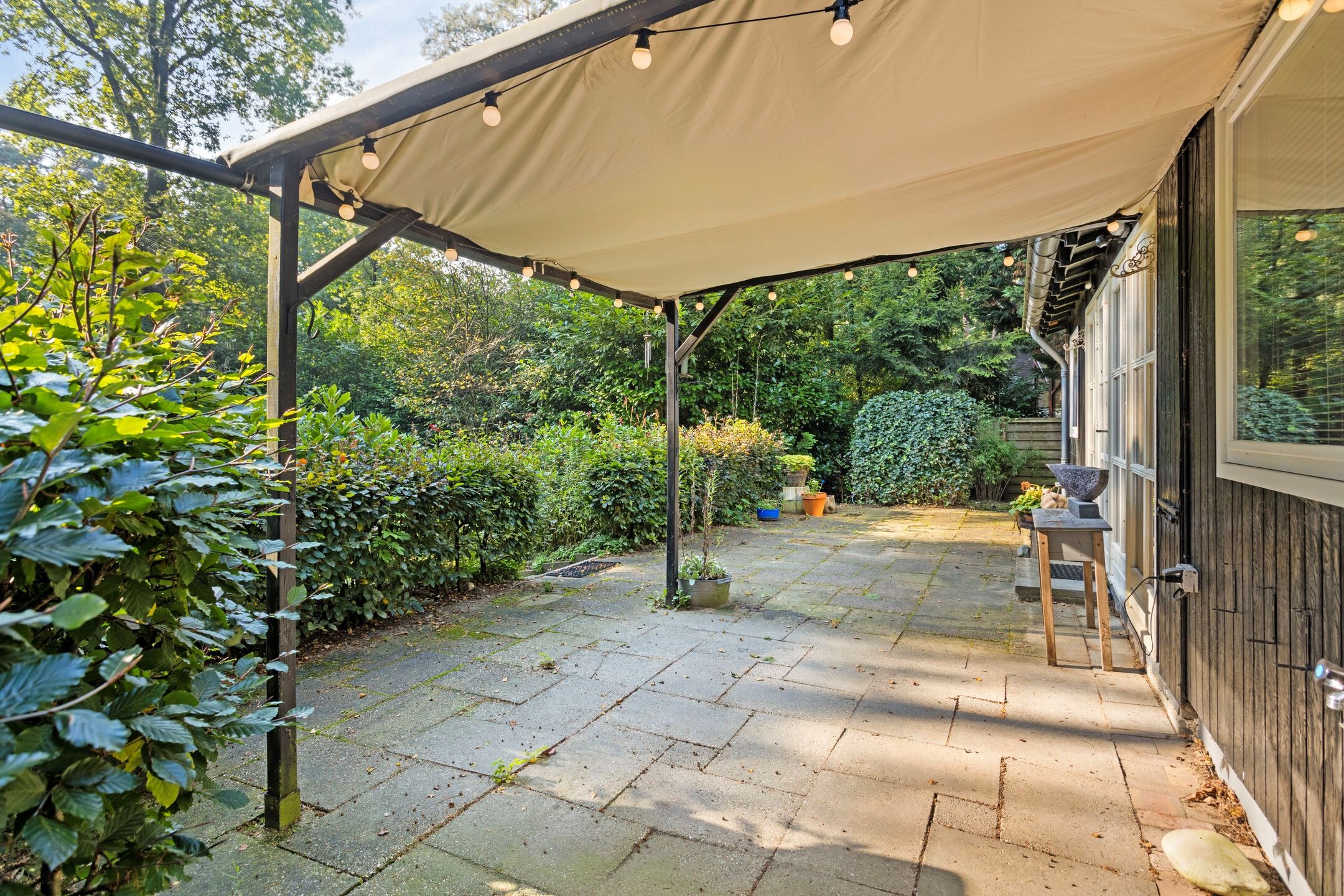 Foto 39 van Kievit 12-B178