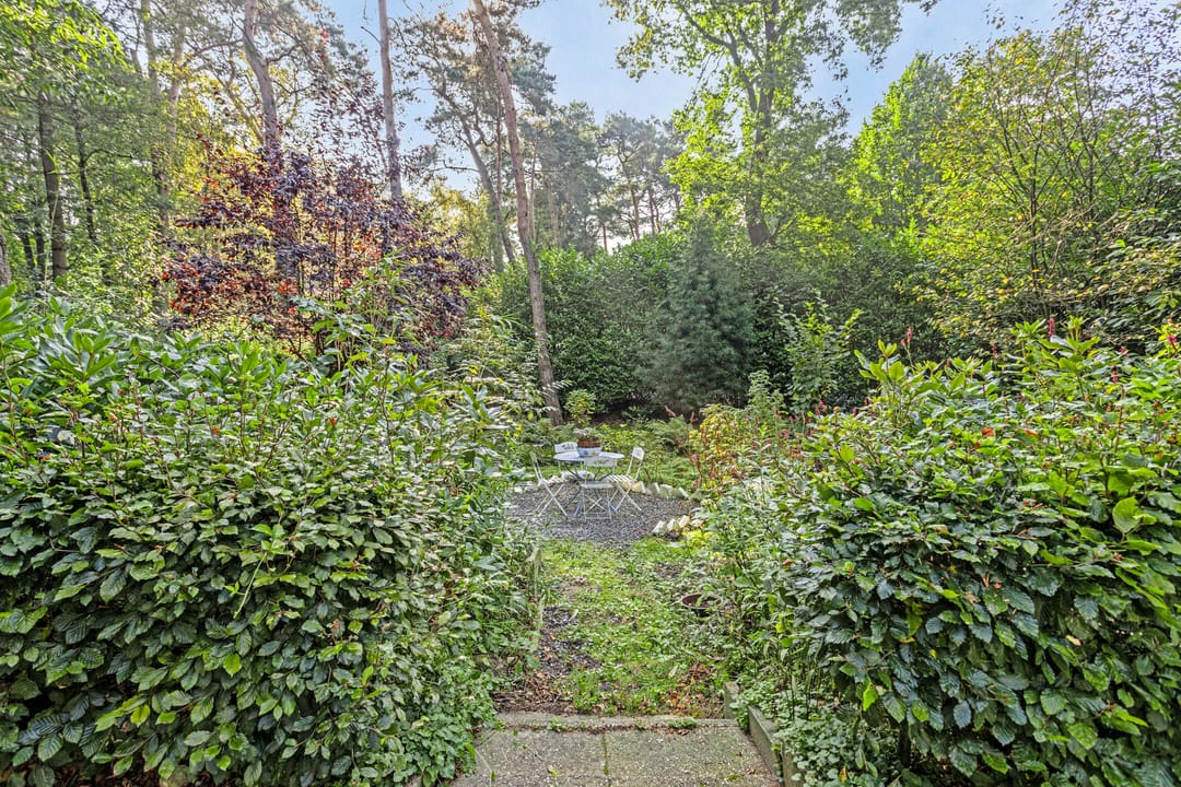 Foto 41 van Kievit 12-B178