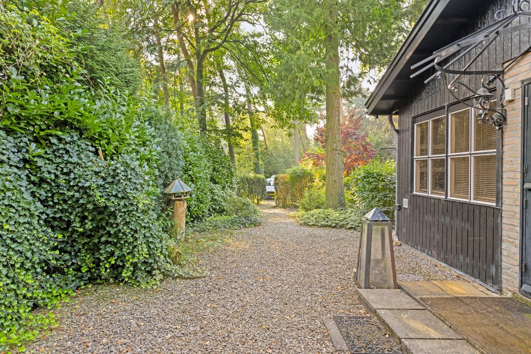 Foto 46 van Kievit 12-B178