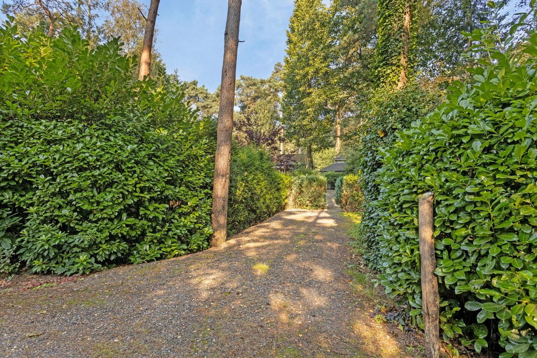 Foto 47 van Kievit 12-B178