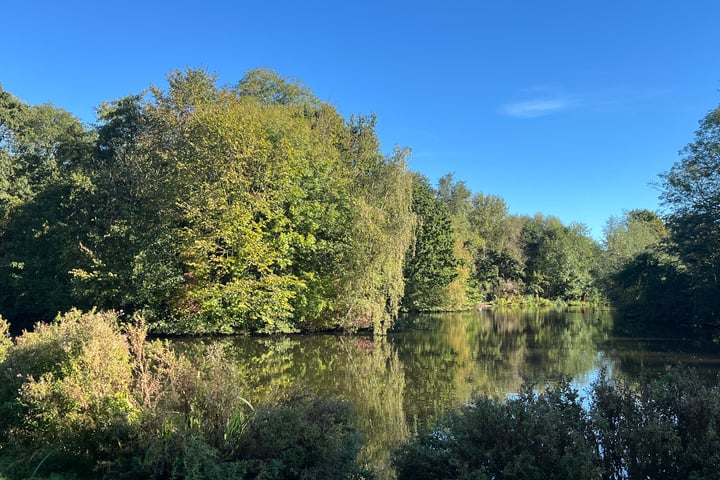 Bekijk foto 41 van Amstelveenseweg 106-H