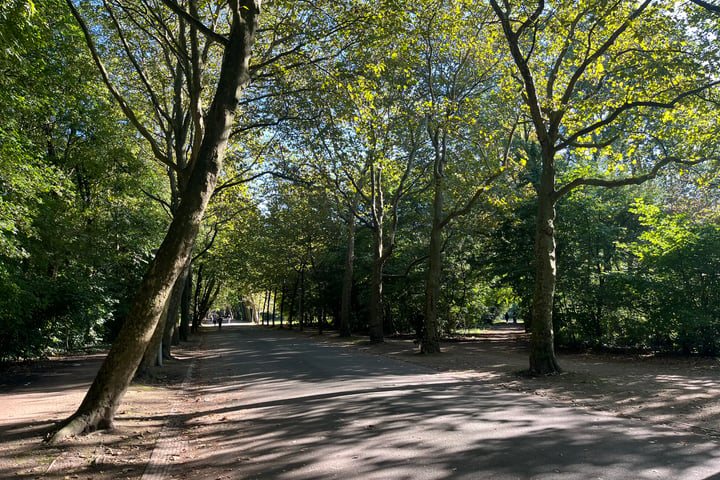 Bekijk foto 44 van Amstelveenseweg 106-H