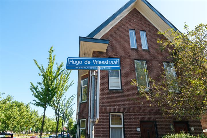 Bekijk foto 16 van Hugo de Vriesstraat 1-B