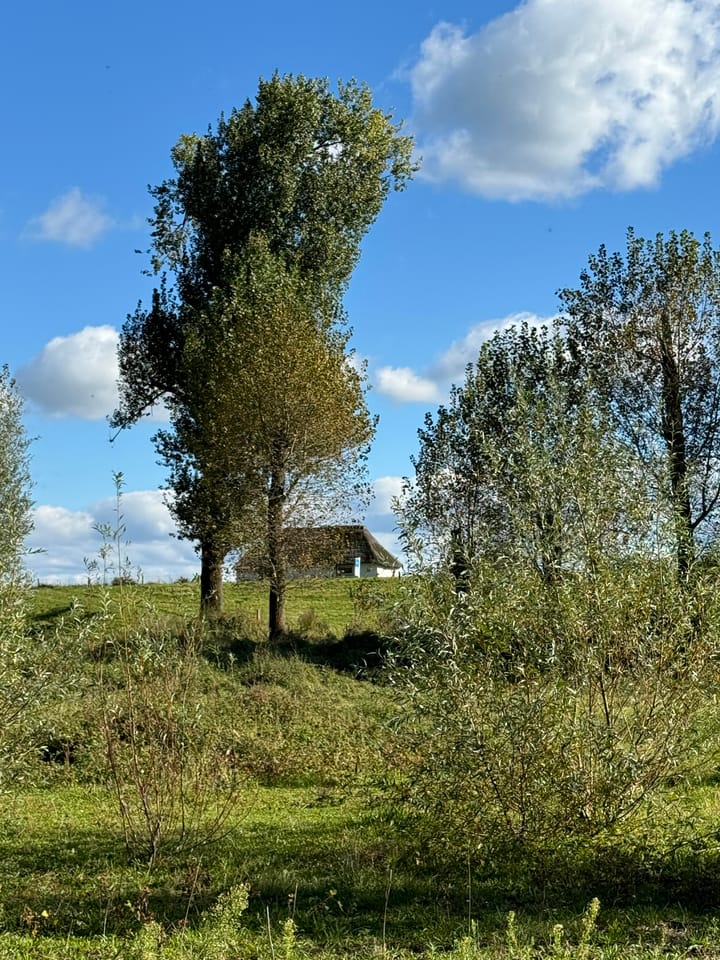 Foto 5 van Polstraat 37