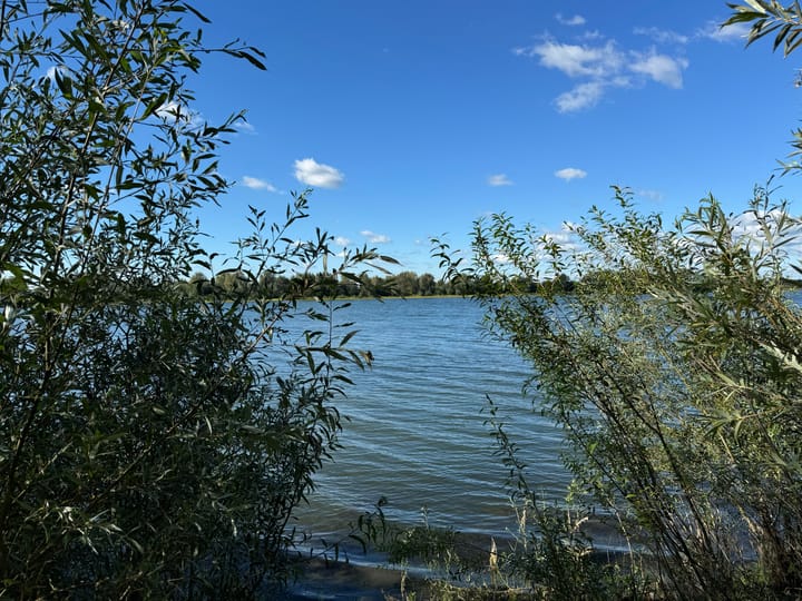 Foto 6 van Polstraat 37