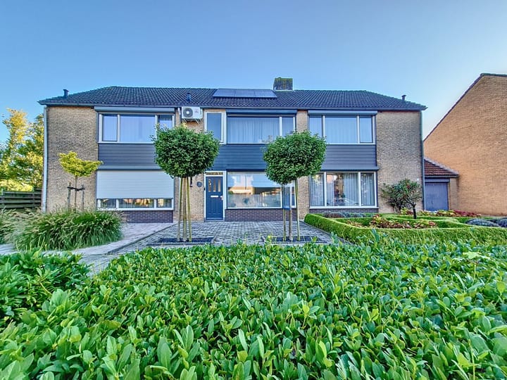 Foto 2 van Poolster 3