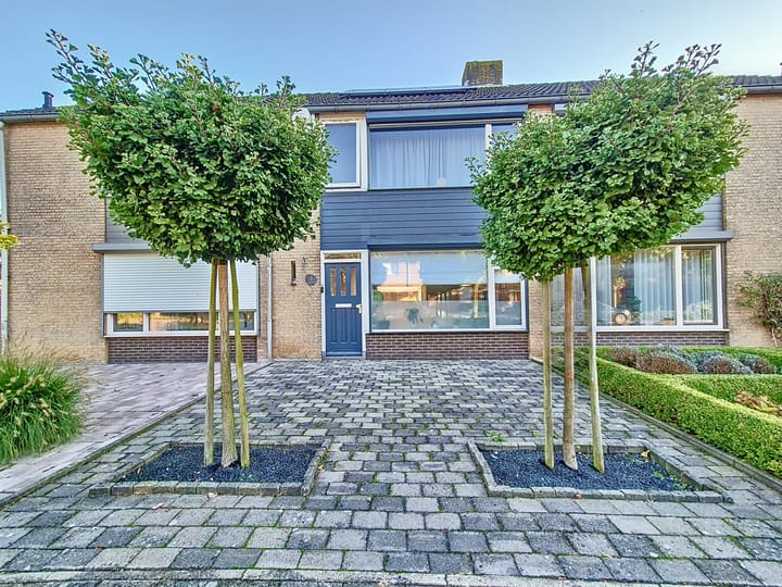 Foto 3 van Poolster 3