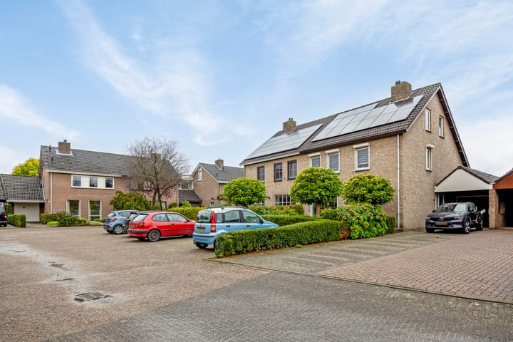 Foto 2 van Hoefblad 12