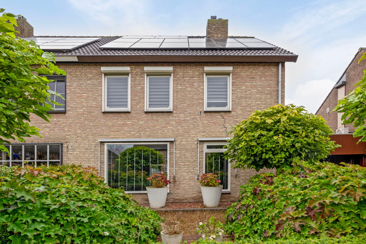 Foto 3 van Hoefblad 12