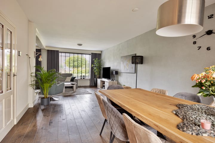 Foto 9 van Hoefblad 12