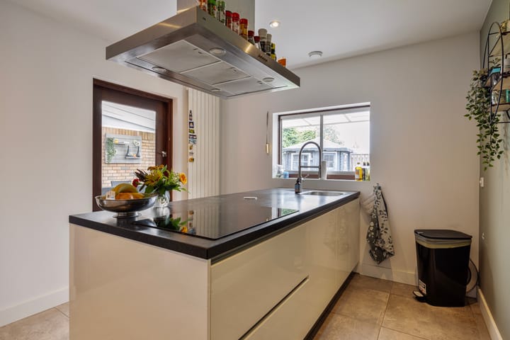 Foto 11 van Hoefblad 12