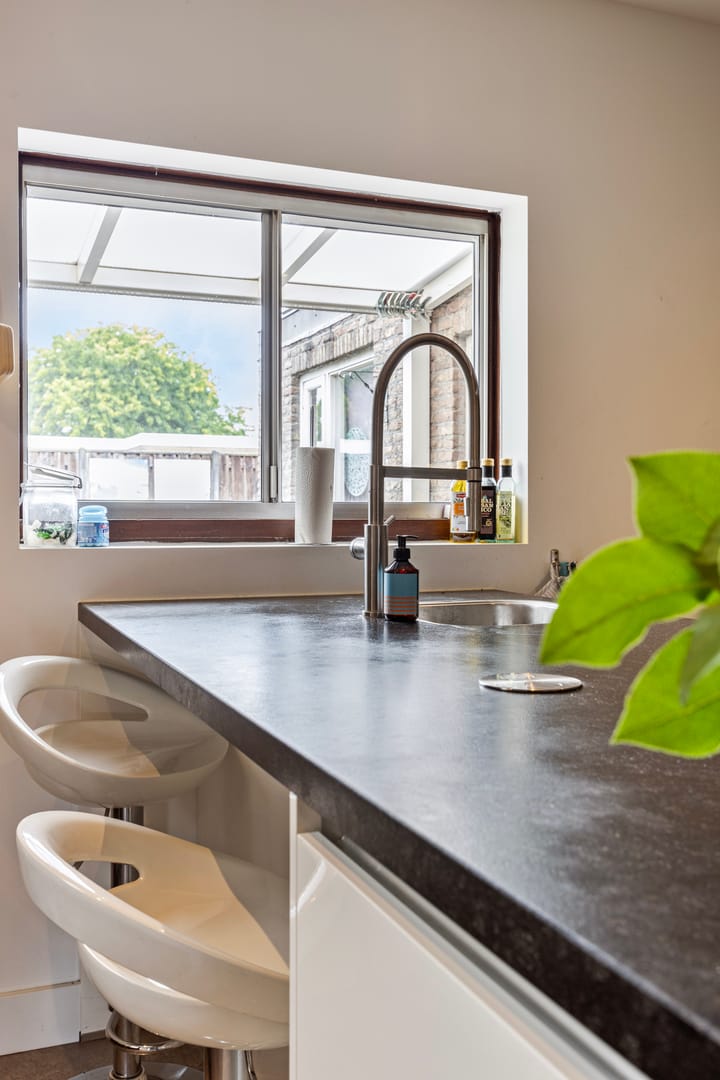 Foto 14 van Hoefblad 12