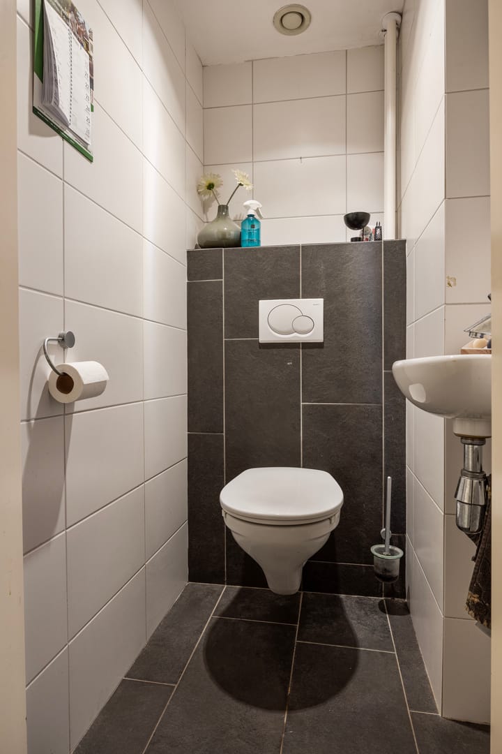 Foto 17 van Hoefblad 12