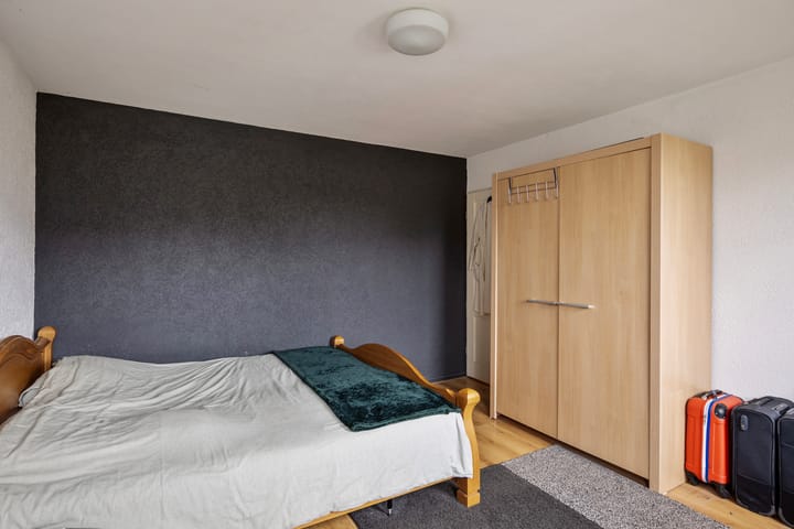 Foto 29 van Hoefblad 12