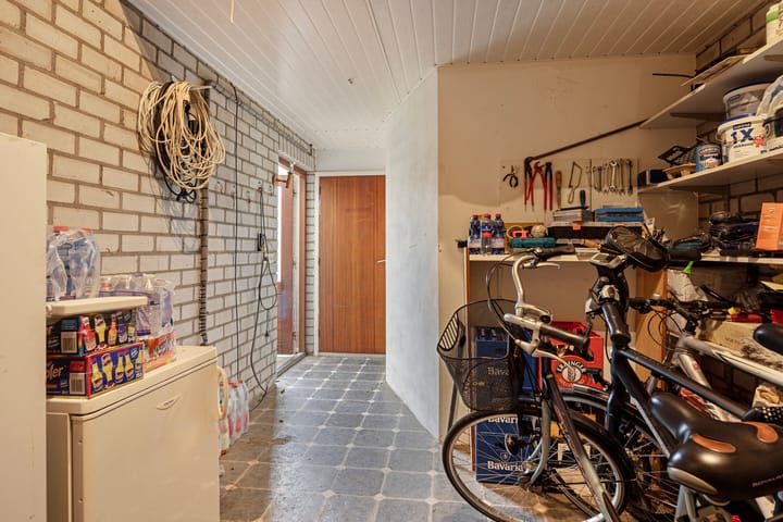 Foto 44 van Hoefblad 12