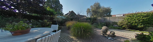 View 360° photo of achtertuin of Clematis 30