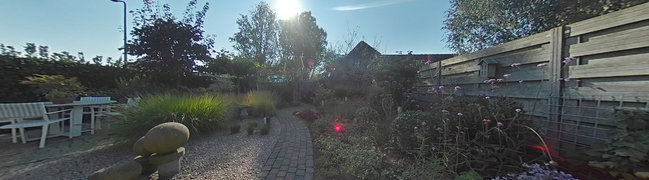 View 360° photo of achtertuin of Clematis 30