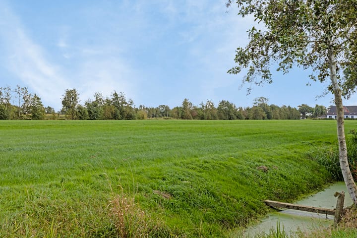 Photo 25 of Skoalikkers 41