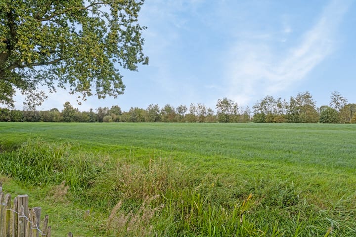 Photo 26 of Skoalikkers 41