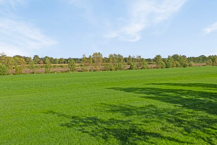 Photo 33 of Skoalikkers 41