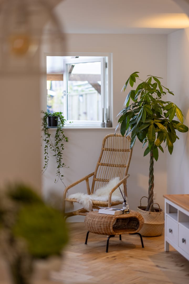 Foto 14 van Bothastraat 1