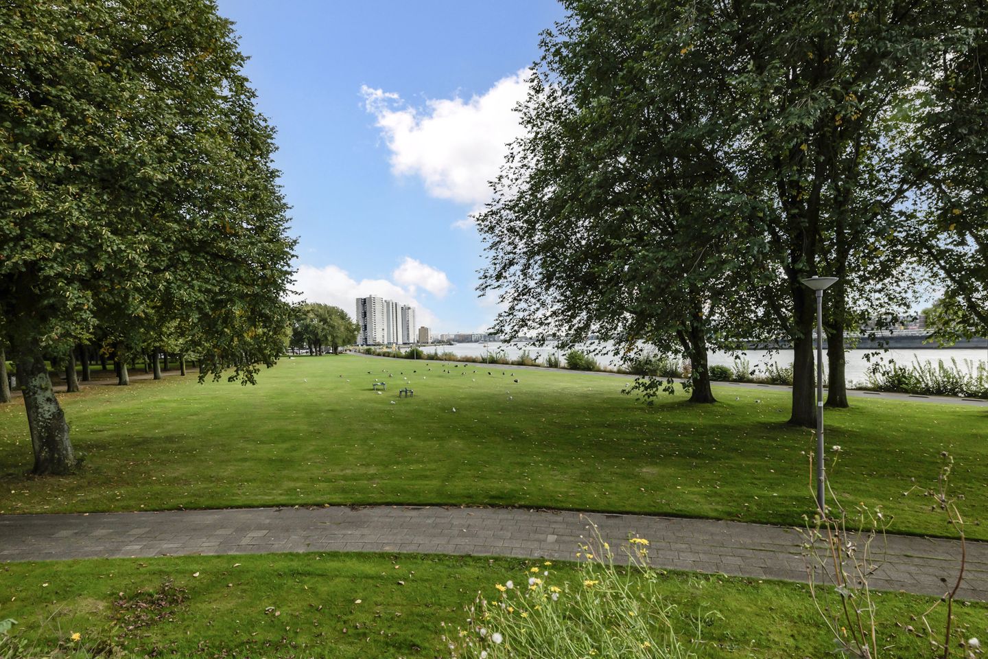 Photo 59 of Oostmaaslaan 842