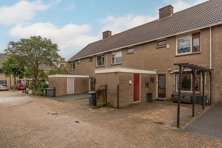 undefined main image