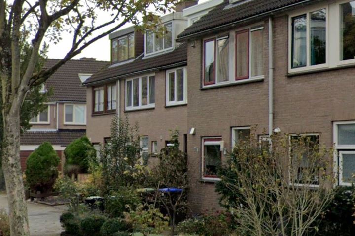 Esdoornstraat 43