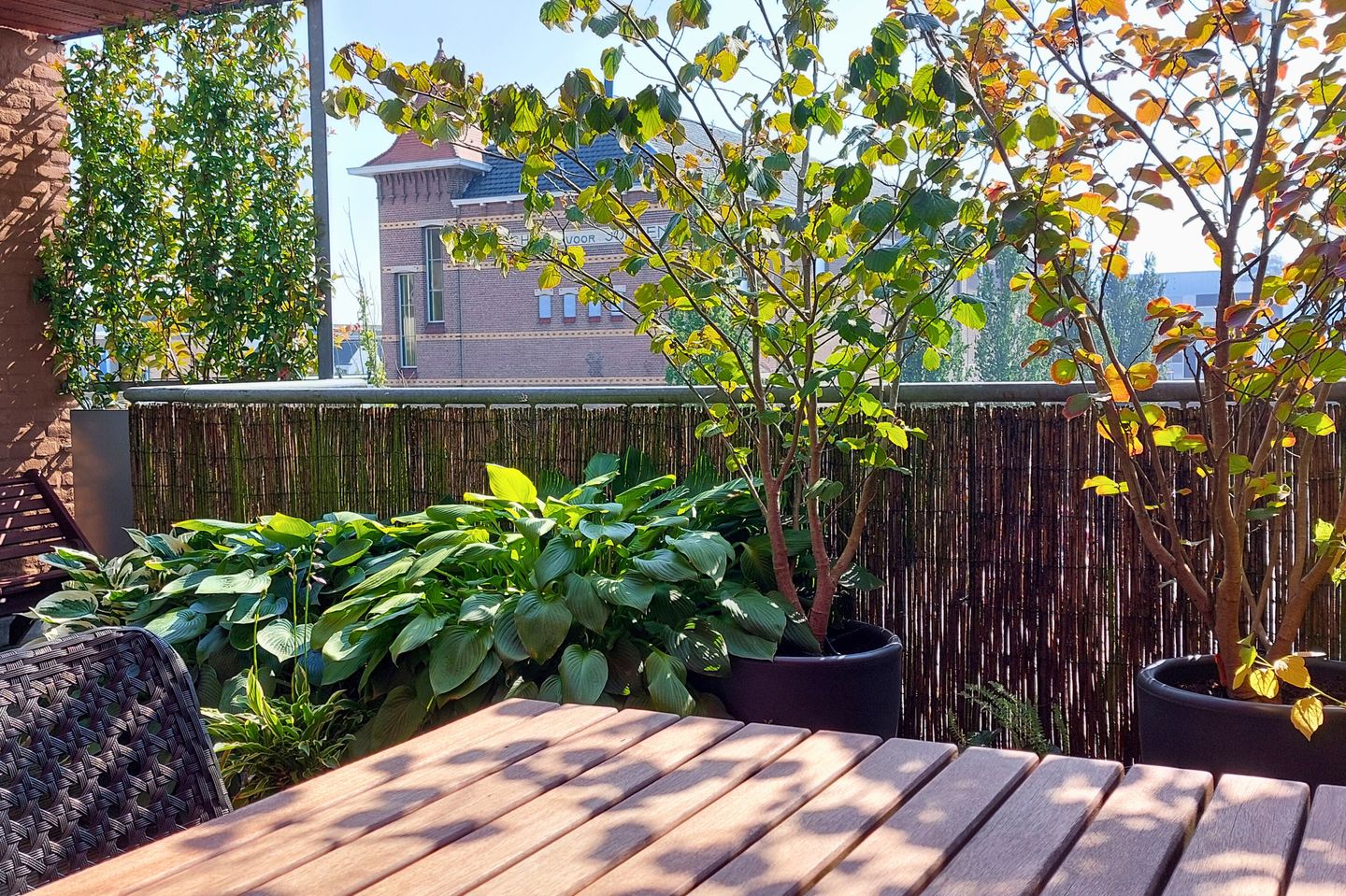 Foto 29 van Grotestraat 196-B