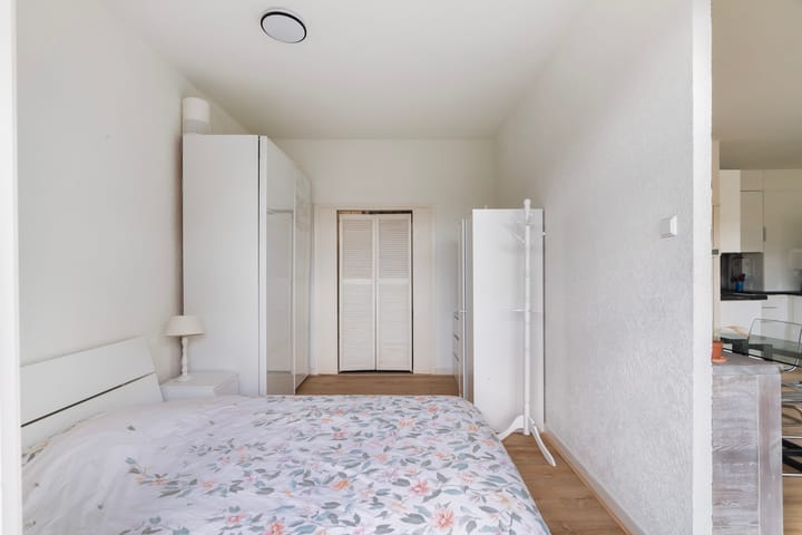 Foto 13 van Van Alkemadelaan 538