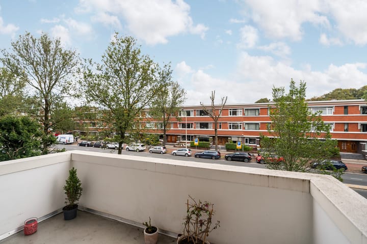 Foto 21 van Van Alkemadelaan 538