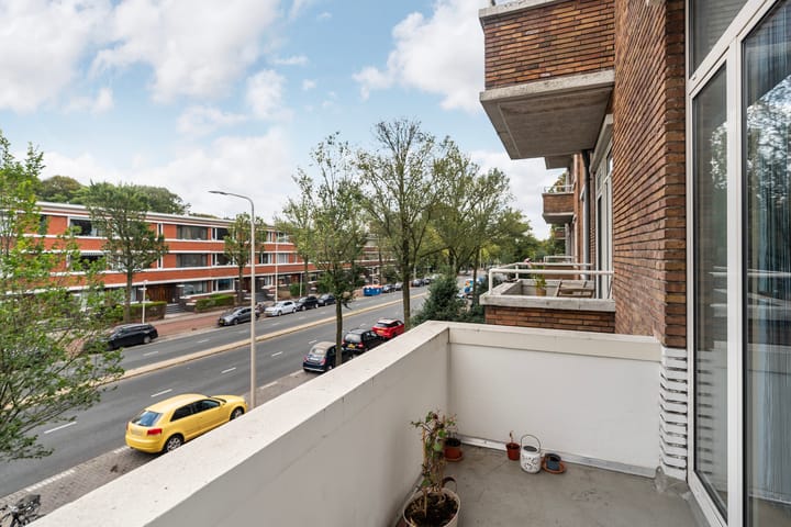 Foto 22 van Van Alkemadelaan 538