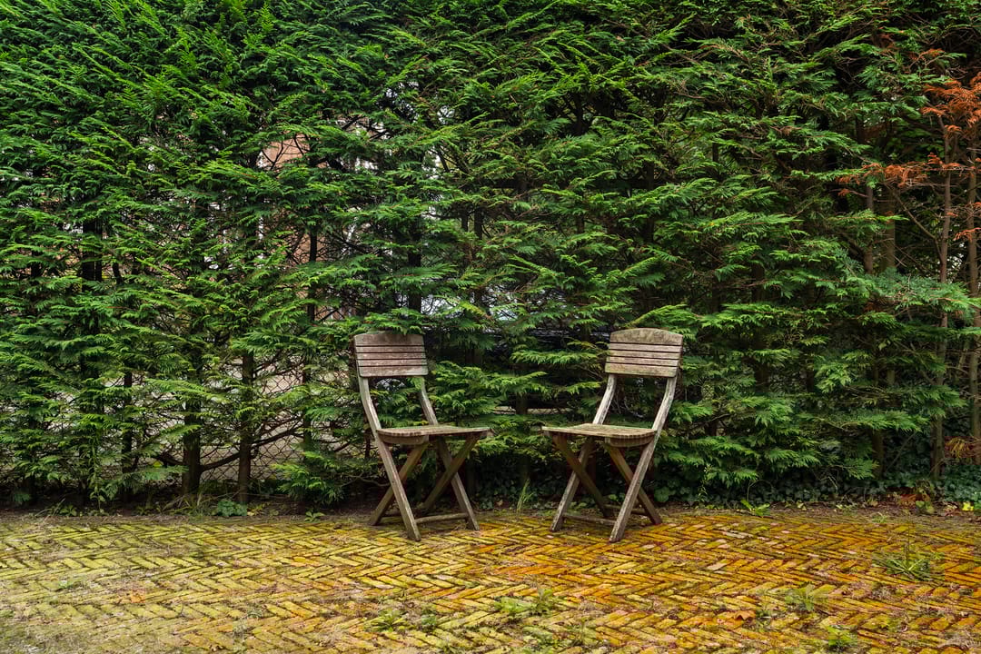 Photo 32 of Van Alkemadelaan 538