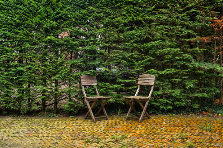 Foto 32 van Van Alkemadelaan 538