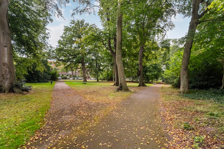 Foto 37 van Van Alkemadelaan 538