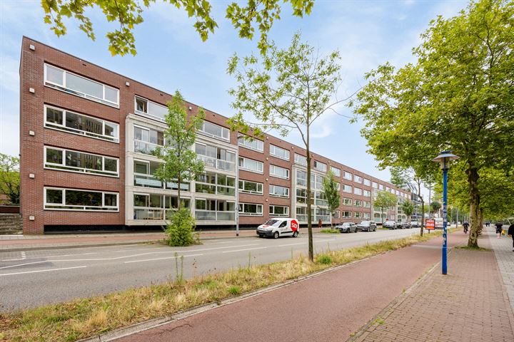 View photo 29 of Havensingel 220