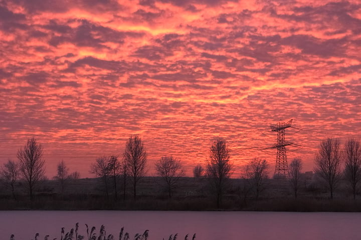 Bekijk foto 56 van Lisdoddelaan 80