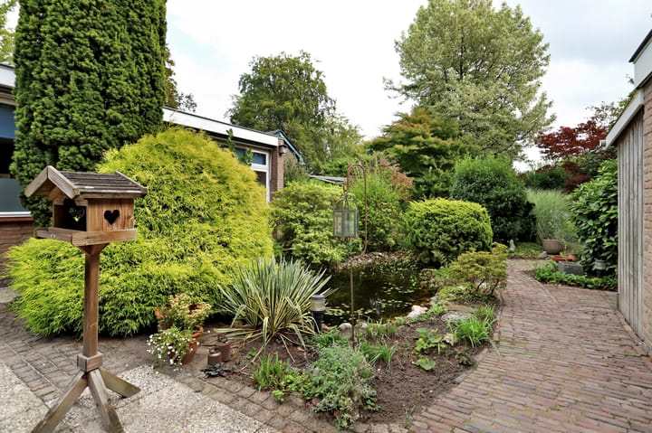 Foto 50 van Vetkamp 27