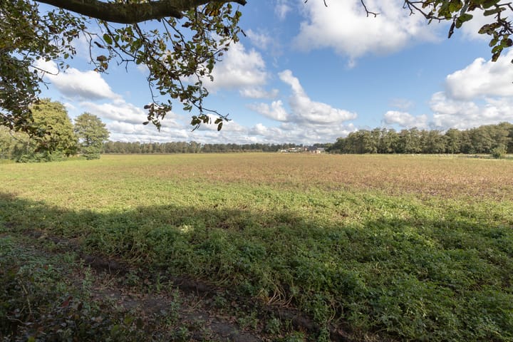 Foto 2 van Lieving 11