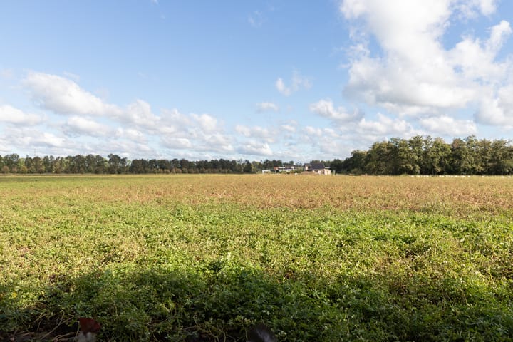 Foto 51 van Lieving 11