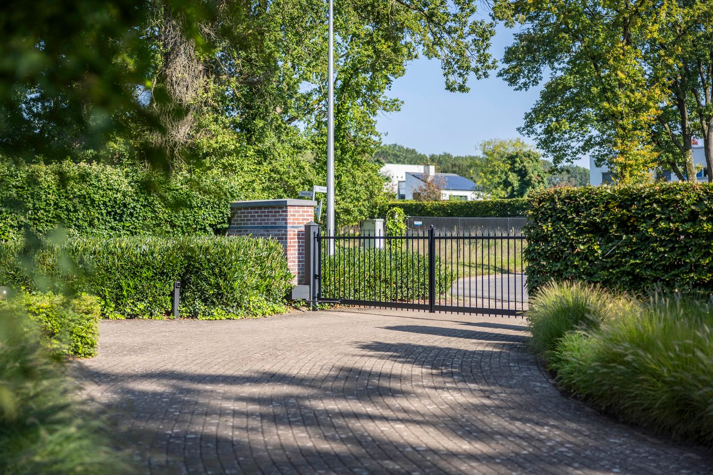 Photo 5 of Pannestraat 259