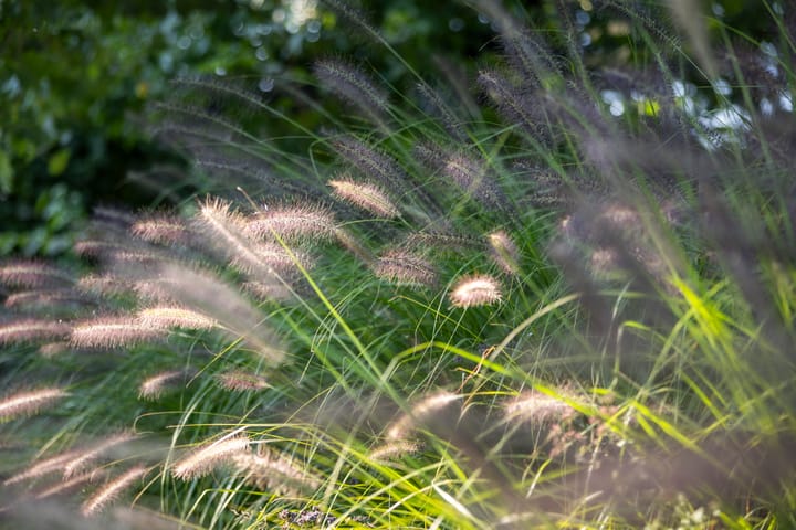 Foto 69 van Pannestraat 259