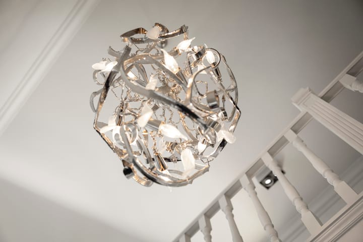 Foto 75 van Pannestraat 259