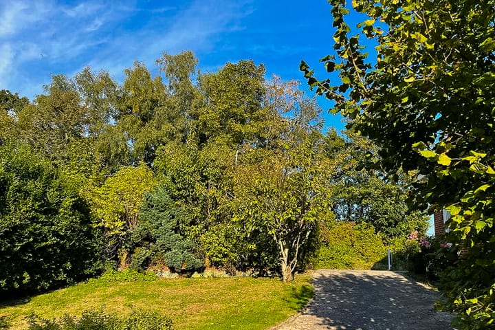 Foto 31 van Verlengde Hoofdstraat 4