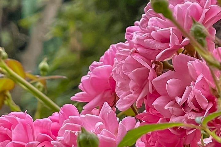 Foto 32 van Verlengde Hoofdstraat 4