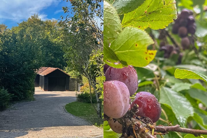 Foto 33 van Verlengde Hoofdstraat 4