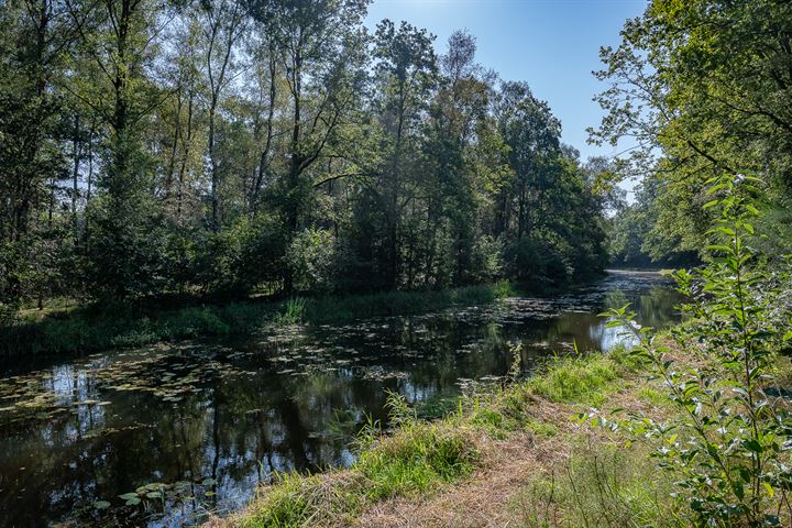 Bekijk foto 56 van Maandagweg 5